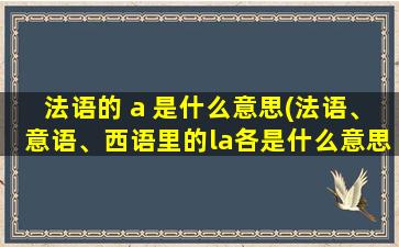 法语的 a 是什么意思(法语、意语、西语里的la各是什么意思)